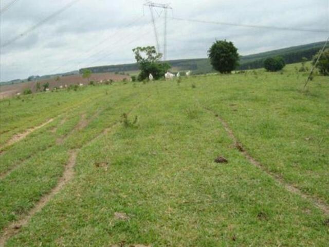 Fazenda para venda em Taquarituba