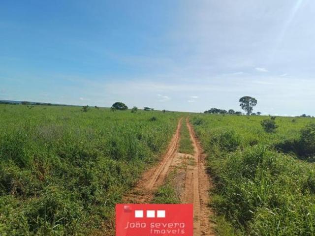 Fazenda para Venda em Tesouro
