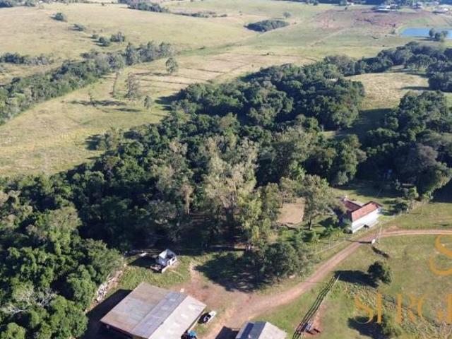 Fazenda para venda em Triunfo