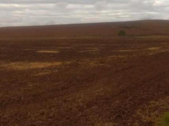 Fazenda para Venda em Turvolândia, rural