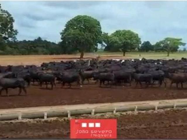 Fazenda para Venda em Unaí