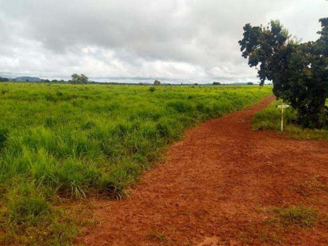 Fazenda para Venda em Unaí, Zona Rural