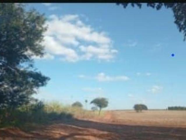 Fazenda para venda em Votuporanga
