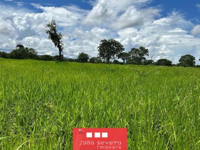 Fazenda para Venda em Várzea da Palma