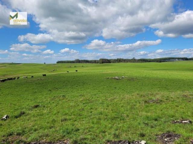 Fazenda para Venda em Várzea do Cedro São Francisco de Paula RS