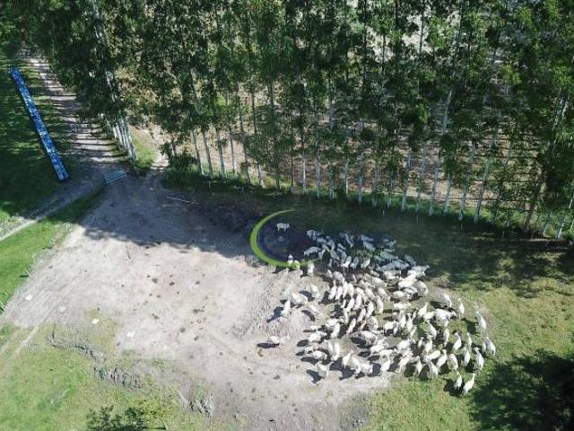 Fazenda para venda em Vila São José, Guaratinguetá