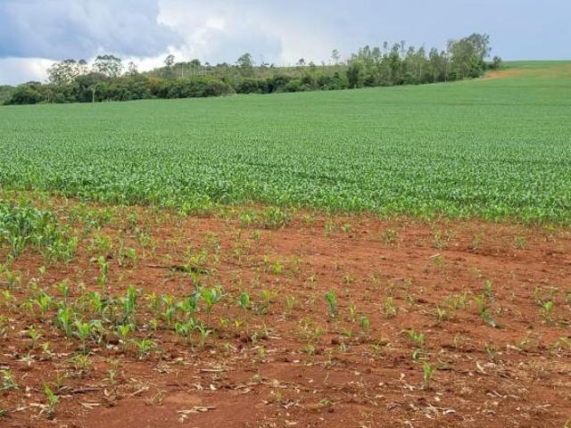 Fazenda para venda em Zona Rural, Bambuí