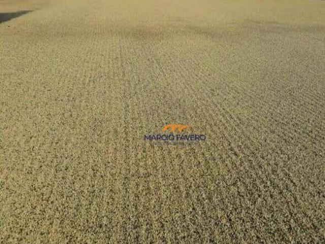 Fazenda para venda em Zona Rural, Buritizeiro