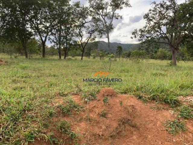 Fazenda para venda em Zona Rural, Paracatu