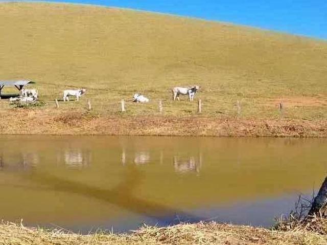 Fazenda para Venda, Sul de Minas 150 km de SP