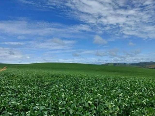 Fazenda para venda Zona Rural Andrelândia