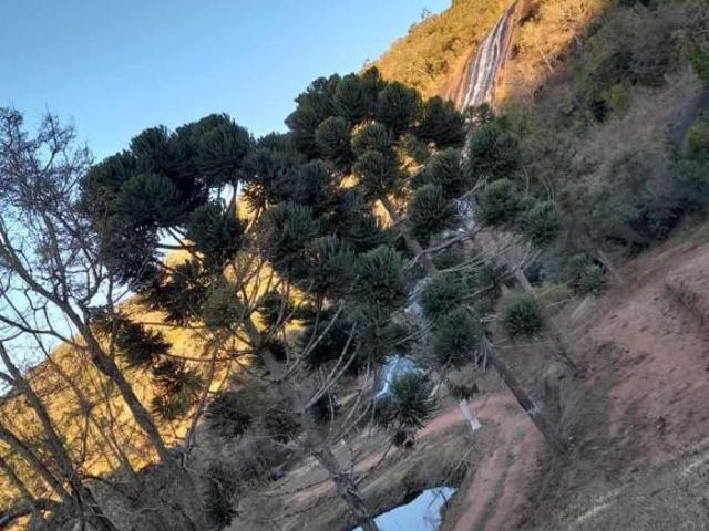 Fazenda para venda Zona Rural Carvalhos