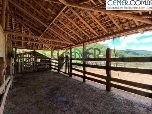 Fazenda Paraíso das Águas de 388 ha com casarão antigo na reg de Guanhães MG
