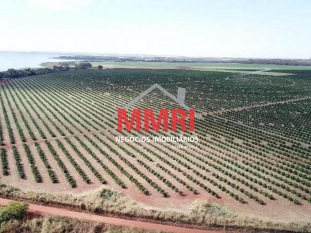 Fazenda, Patrimônio Novo, Votuporanga, SP