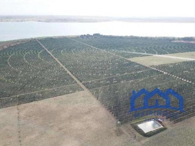 Sítio/Fazenda à Venda, 65,42 alqueires por R$ 27.000.000 Cód. ch1773