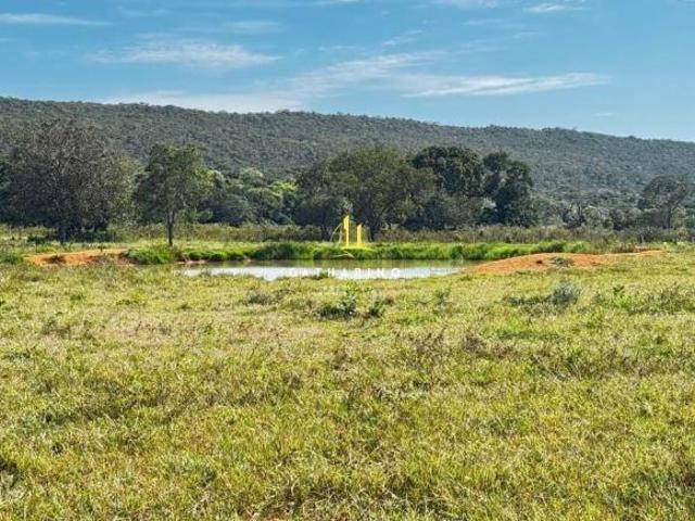 Fazenda Pecuária Cáceres/MT