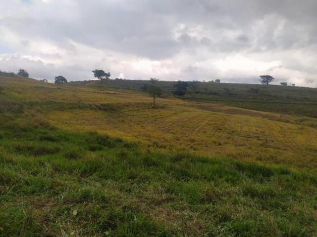 Fazenda pecuária