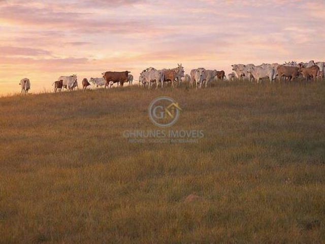 Fazenda Pecuária 242 ha em Santa Rita de Caldas | Sul de MG