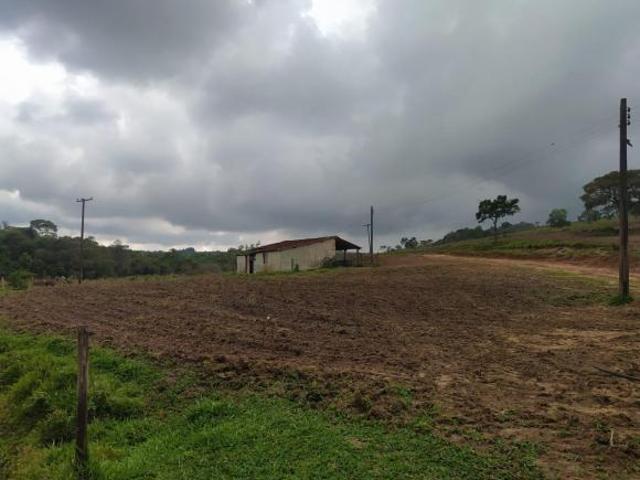 Fazenda pecuária