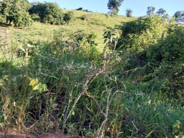 Fazenda, Periquito, Periquito, MG