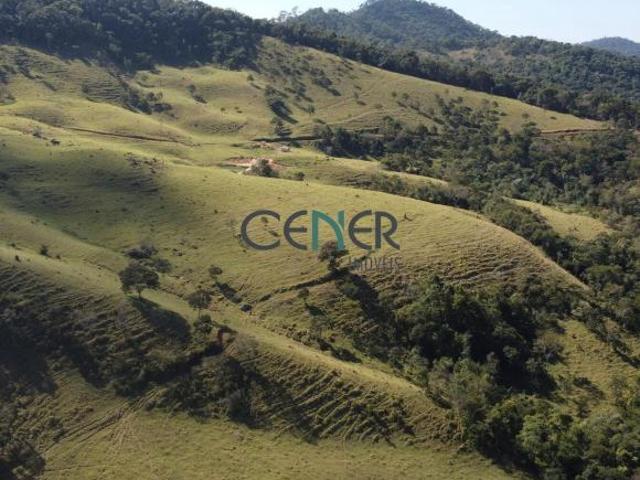Fazenda pitoresca de 72 ha em local espetacular na reg. Cons. Lafaiete