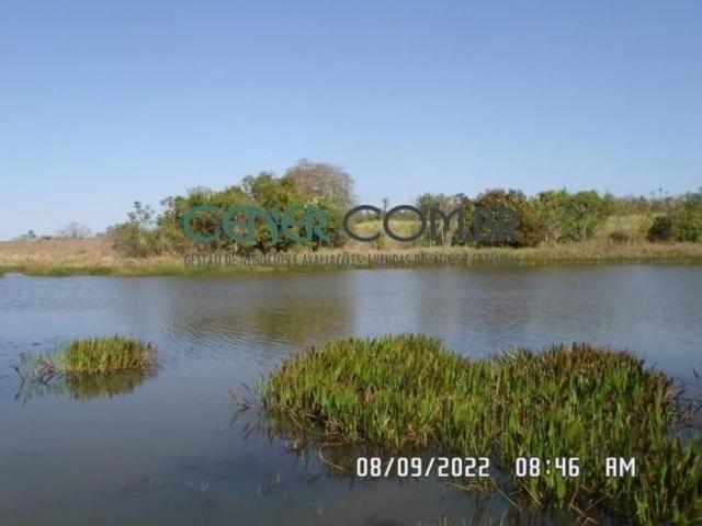 Fazenda Pitoresca de 301 ha toda Plana e muita Água em Curvelo MG