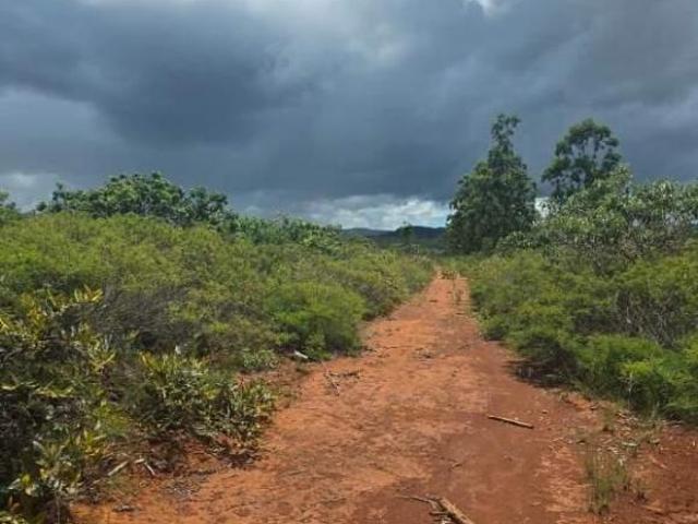 Fazenda plana com muitas nascentes e rio à Venda em Bocaiúva, MG – 700 ha,otima para café,pecuaria e