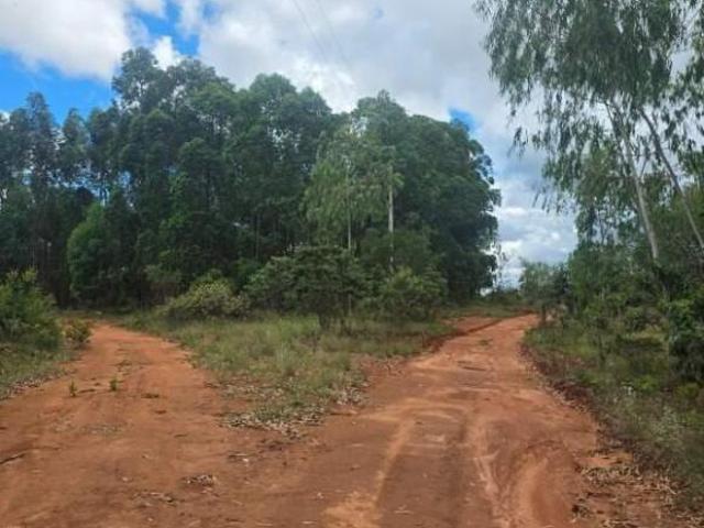 Fazenda plana com muitas nascentes e rio à Venda em Bocaiúva, MG – 700 ha,otima para café,pecuaria e