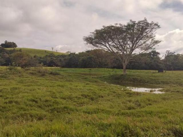 Sítio Santo Antônio da Platina