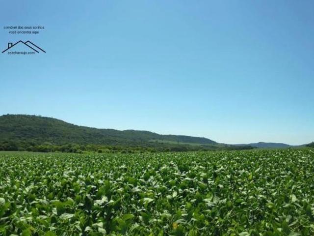 Fazenda, Ponta Porã, MS SEU PRÓXIMO GRANDE INVESTIMENTO!