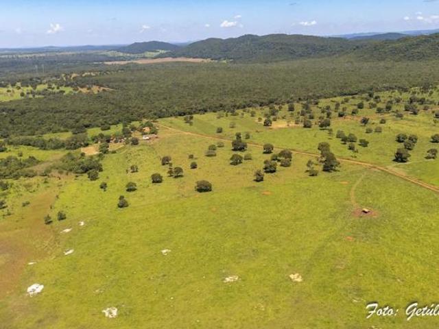 Fazenda Premium