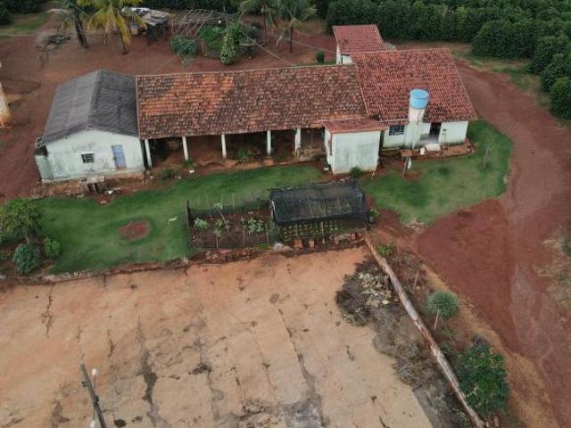 FAZENDA PRODUTORA DE CAFÉ NA REGIÃO DE MACAÚBAS DE CIMA