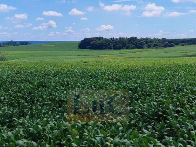 FAZENDA PRODUTORA DE GRÃOS NA REGIÃO DE PARANAPANEMA SP
