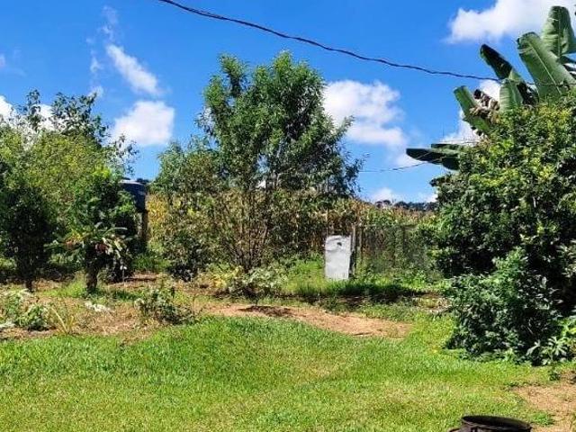 FAZENDA PRODUTIVA 12 HA DE PORTEIRA FECHADA À 12 KM DE PIEDADE/MG