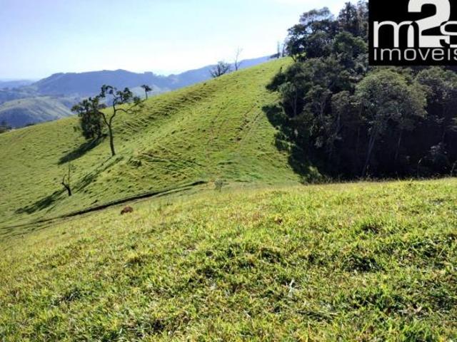 Fazenda produtiva à venda em Cunha SP, bairro da barra: 1.100m de altitude, infraestrutura completa