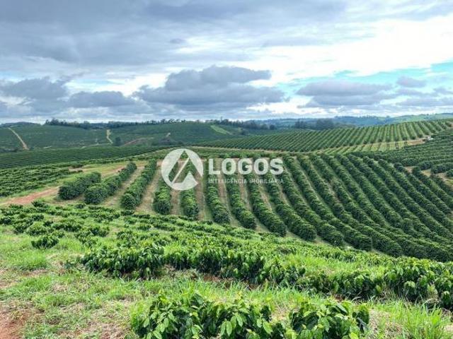 Fazenda produtiva à venda em Guaxupé/MG