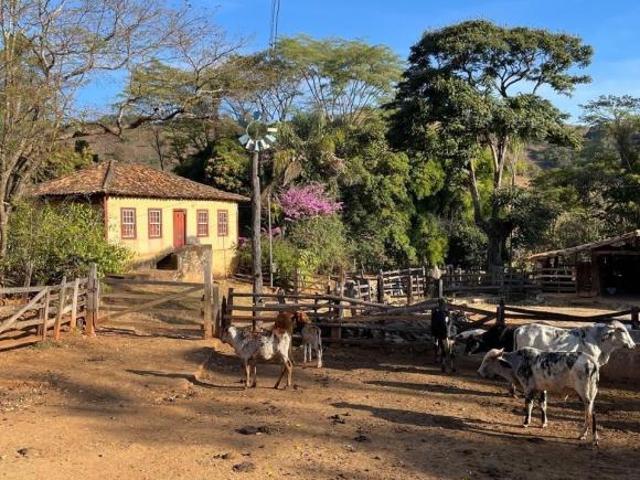 Fazenda produtiva,charmosa e cheia de história