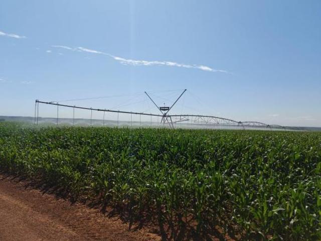 Fazenda produtiva, Cristalina/GO, 2020 ha, 12 pivôs, água, R$ 330 milhões