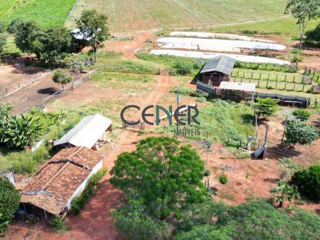 Fazenda Produtiva de 223 ha em Corinto MG