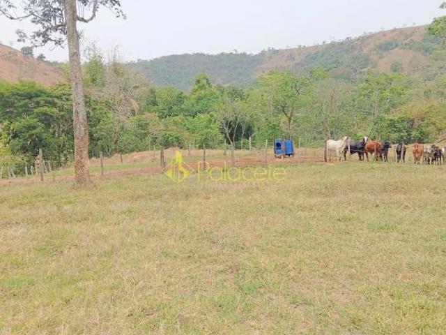 Fazenda proxima a Dutra paraa venda,, Roseira Velha, SP