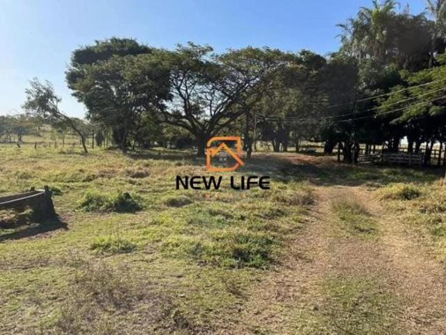 Fazenda, Rural, Campo Florido, MG