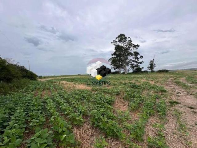 Fazenda Rural Em São Gabriel Lavoura Soja e arroz 264 hectares