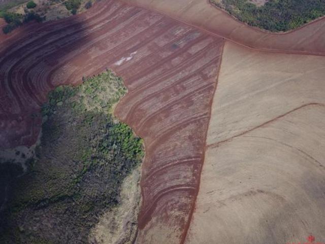 Fazenda, Rural, Patrocínio Paulista, SP