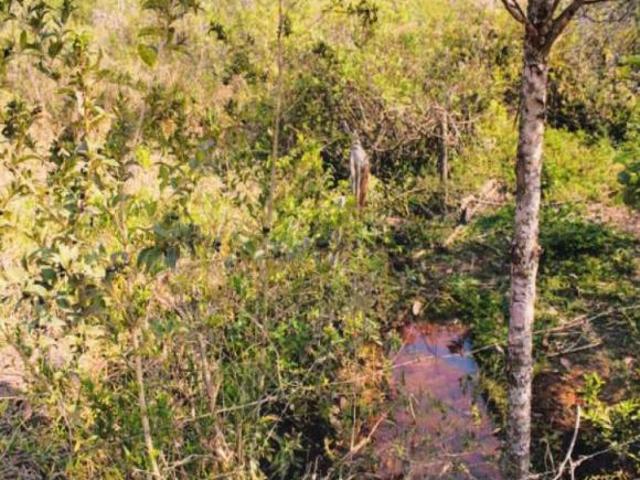 Fazenda, Rural, Zona Rural