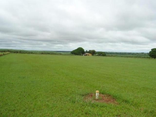 FAZENDA REGIÃO DE RANCHARIA