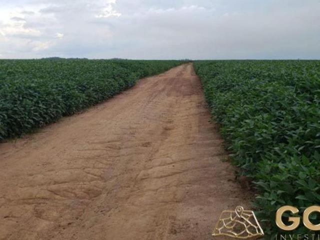 FAZENDA REGIÃO DE SÃO FÉLIX DO ARAGUAIA MT!