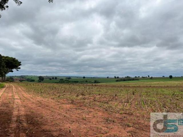 Fazenda, Região de Santa Cruz do Rio Pardo sp, Santa Cruz do Rio Pardo, SP