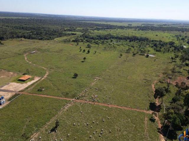 Fazenda regiao do Baixo Araguaia