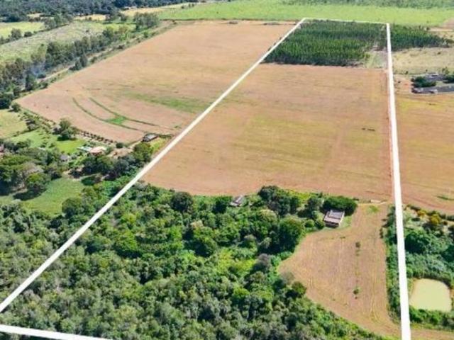 FAZENDA REGULARIZADA PELA TERRACAP ZONA RURAL PLANALTINA DF PRODUZINDO AGRICULTURA