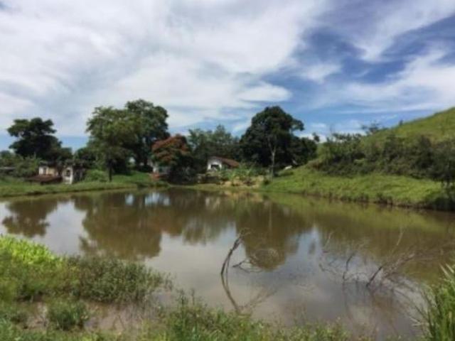 Fazenda Residencial com 160 Alqueires e Lago Privativo em Centro, Cruzeiro SP